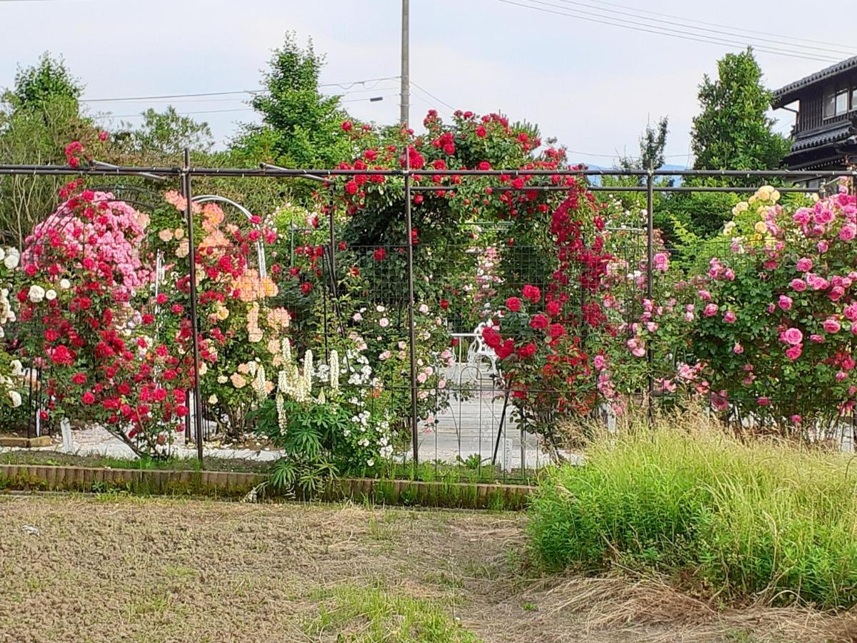 Rosencat Villa Szado Kültér fotó