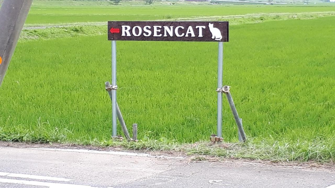 Rosencat Villa Szado Kültér fotó