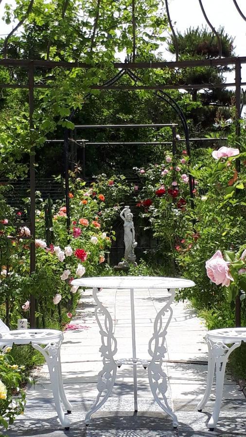 Rosencat Villa Szado Kültér fotó